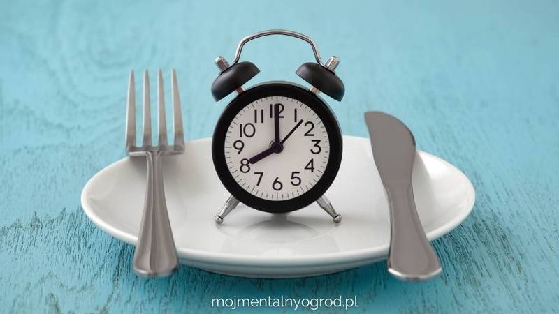 Nawyk 5 - Posiłki o stałej porze